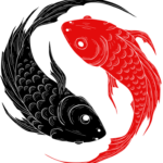 Yng Yang Koi